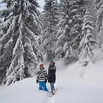 Alpenapart Walch Appartement *
