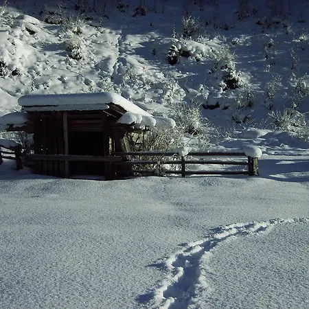 Alpenapart Walch Daire