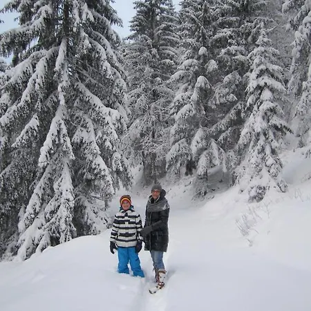Alpenapart Walch Lägenhet *
