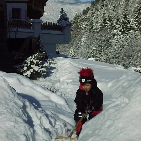 Alpenapart Walch Jerzens