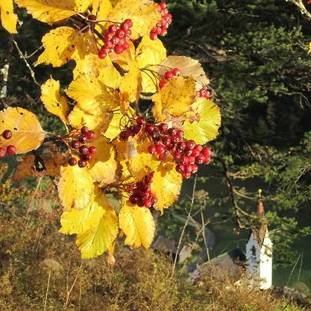 Alpenapart Walch Lägenhet *