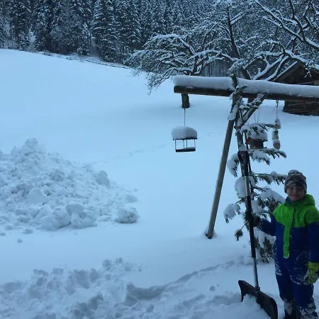 Alpenapart Walch Lägenhet Jerzens