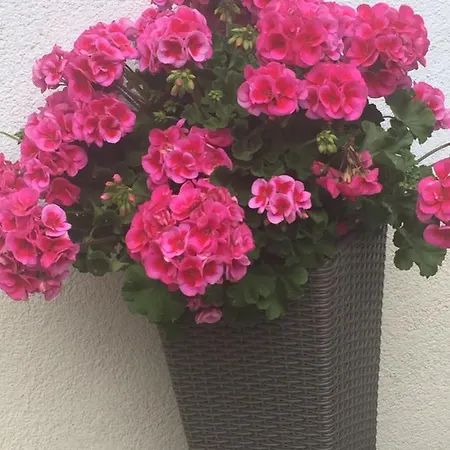 Alpenapart Walch Jerzens