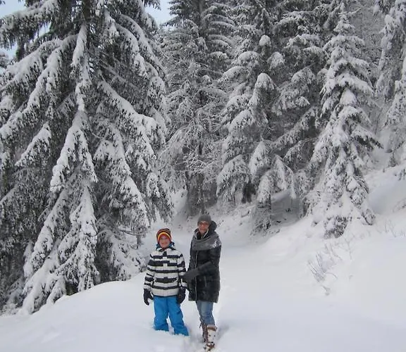 Alpenapart Walch Appartamento *