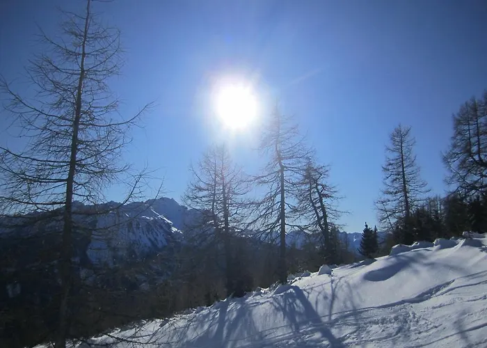 Appartamento Alpenapart Walch