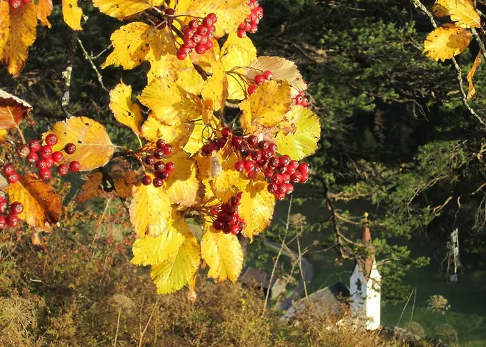 Alpenapart Walch Appartamento *