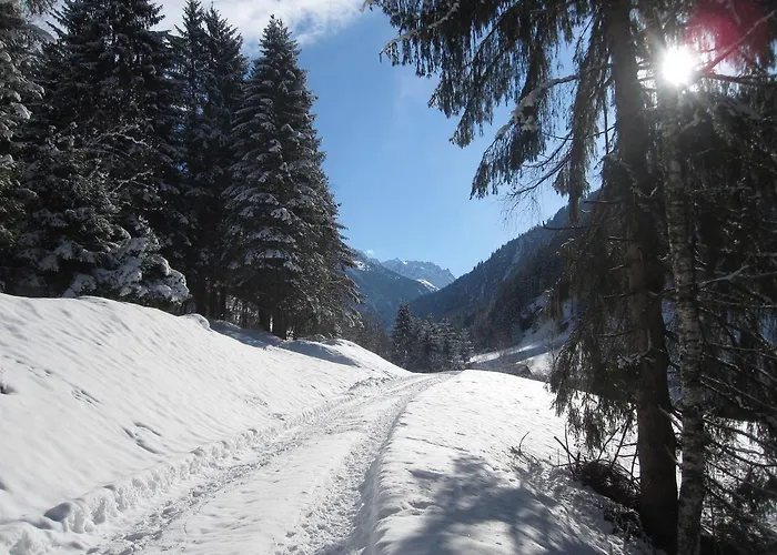 Alpenapart Walch Appartamento