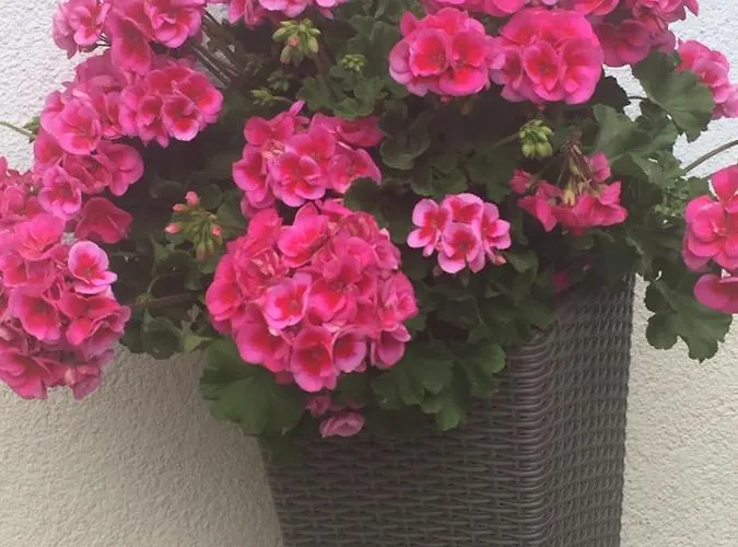 Alpenapart Walch Jerzens