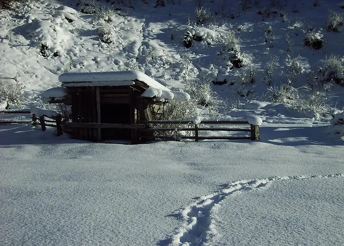 Alpenapart Walch 아파트